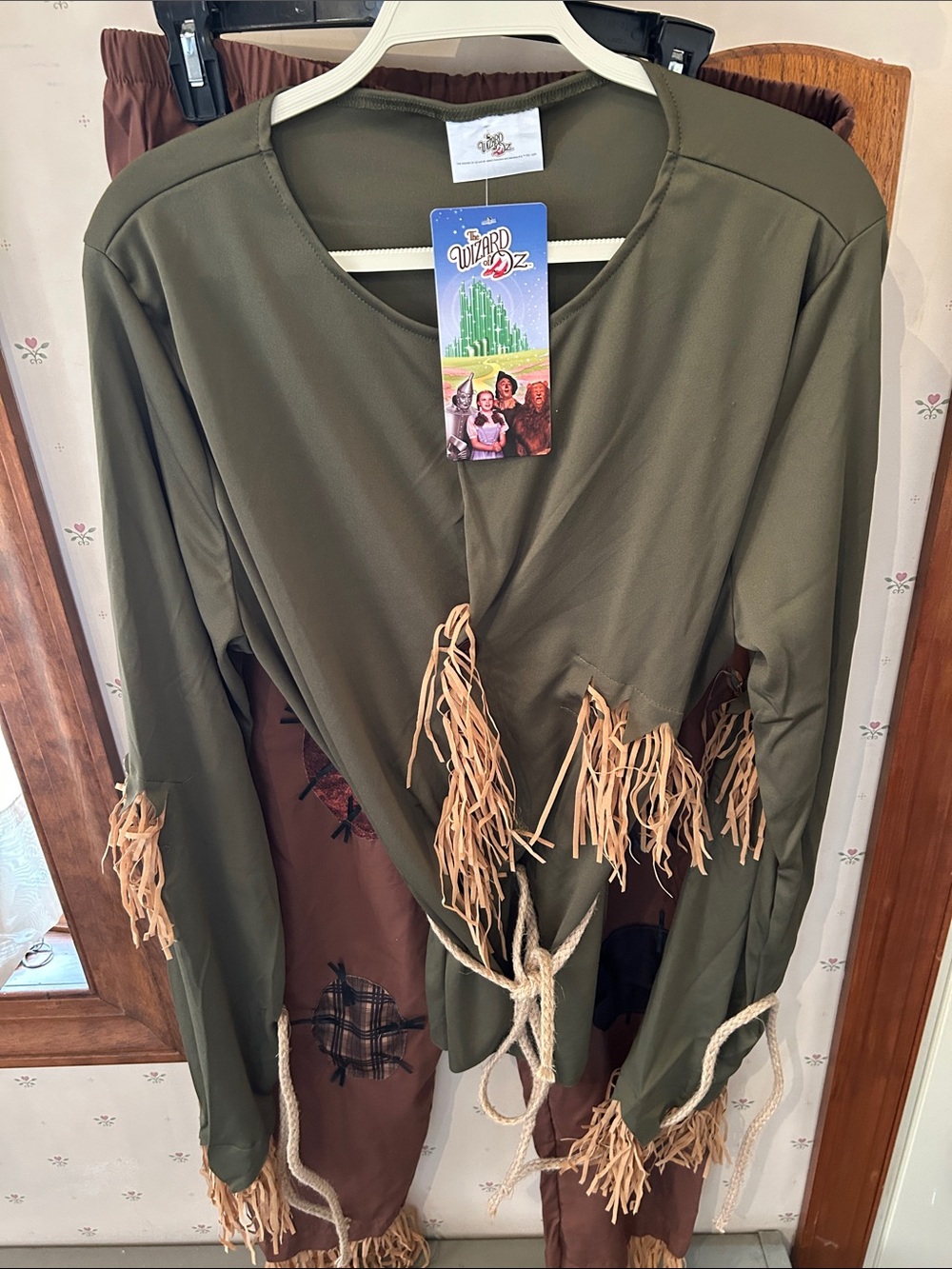 Wizard of Oz scarecrow costume